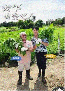 九七影院 极限挑战9 综艺推荐
